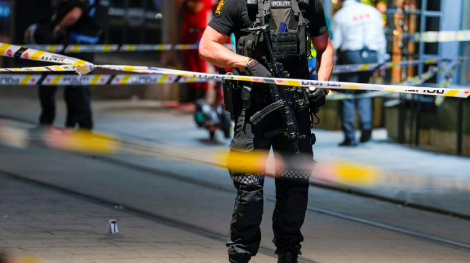 Polizei in Oslo ermittelt nach Sch&uuml;ssen wegen Terrorverdachts