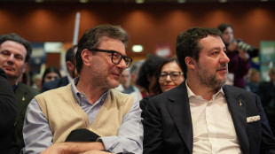 Manovra, mercoledì riunione della Lega con Salvini e Giorgetti
