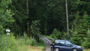 Lina: fin des recherches dans les Vosges, aucun "&eacute;l&eacute;ment particulier" d&eacute;couvert