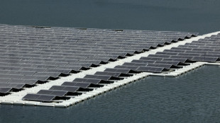 Les énergies renouvelables ralentissent, rendant difficile l'objectif de tripler les capacités