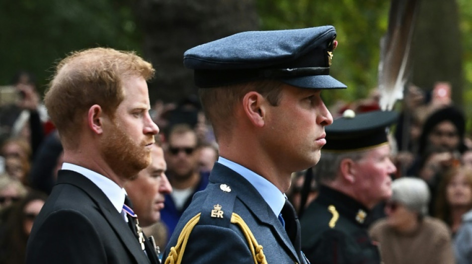 Harry, ou le difficile retour au pays d'un prince