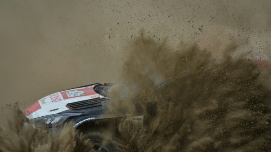 Ogier takes Safari Rally lead as Tanak halted by zebras crossing
