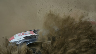Ogier takes Safari Rally lead as Tanak halted by zebras crossing