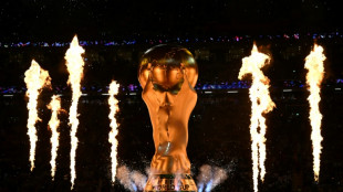 World Cup hits and misses