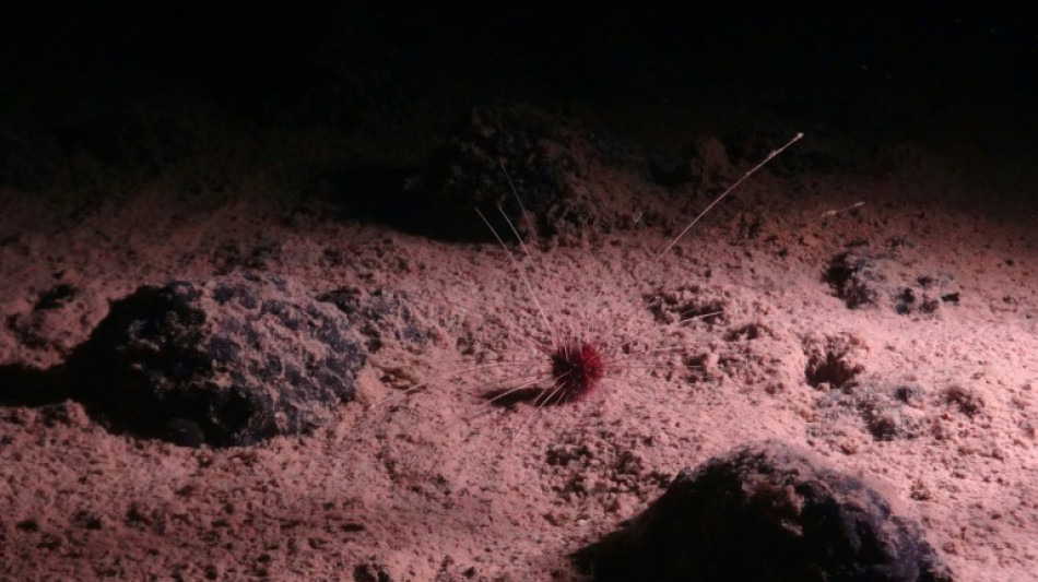 Deep sea mining impacts visible for 'many decades'