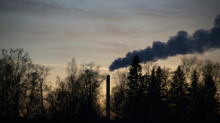 La ONU crea grupo de trabajo para controlar objetivos climáticos de las empresas