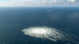 Bundesanwaltschaft durchsuchte schon im Januar Schiff wegen Nord-Stream-Sprengung