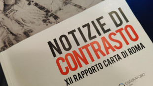 La parola del 2024 per il rapporto Carta di Roma &egrave; "Albania"