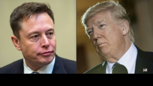 Musk: Freigabe gesperrter Twitter-Accounts fr&uuml;hestens in einigen Wochen