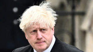 Ex-Premier Johnson erh&auml;lt 315.000 Euro f&uuml;r Vortrag in den USA