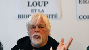 Dinamarca espera el pedido de extradici&oacute;n de Jap&oacute;n por un defensor de ballenas