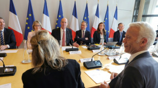 Les organisations patronales réunies en "Conseil des entreprises" à Bercy