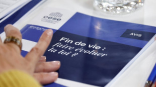 Francia, ante la dif&iacute;cil adopci&oacute;n de su ley de "ayuda a morir"