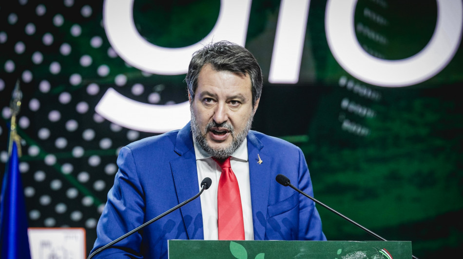 Salvini, non &egrave; successo nulla, nessun problema in maggioranza