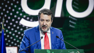 Salvini, non &egrave; successo nulla, nessun problema in maggioranza