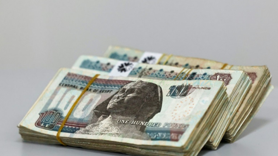 La monnaie plonge en Egypte apr&egrave;s une augmentation record du taux d'int&eacute;r&ecirc;t