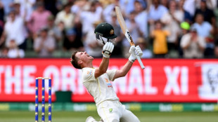 Warner retires in pain after making 200 in 100th Test as South Africa struggle