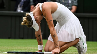 Wimbledon day 11: Who said what