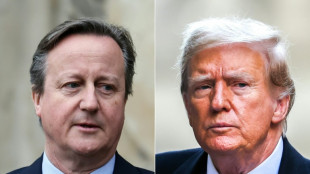 El canciller brit&aacute;nico Cameron se reuni&oacute; con Trump durante su visita a EEUU