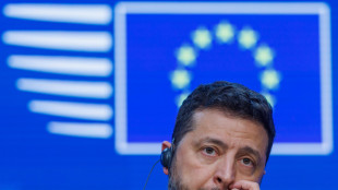 Zelensky, 'se cadiamo ci saranno 20 milioni di profughi in Europa'