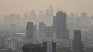Pollution de l'air: le gouvernement tha&iuml;landais appel&eacute; &agrave; interdire le br&ucirc;lage des chaumes