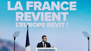 &iquest;Hasta d&oacute;nde puede llegar la extrema derecha en el Parlamento Europeo?