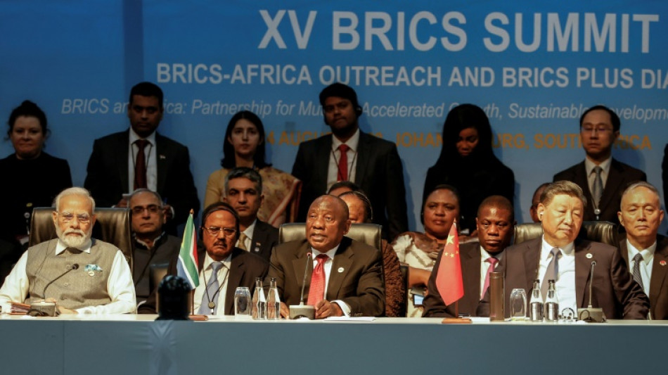Brics: le bloc des pays &eacute;mergents bient&ocirc;t &agrave; onze membres
