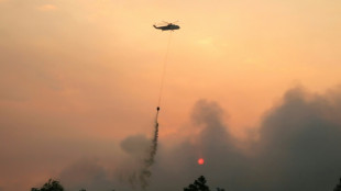 'It is tough': Indonesia battles wildfires, bracing for worse to come