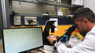 L'effetto brucia-grassi innescato da una staffetta di batteri dell'intestino e dieta