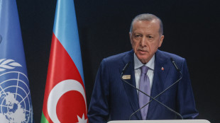 Erdogan, 'coraggioso atto del Cpi rid&agrave; fiducia a giustizia'