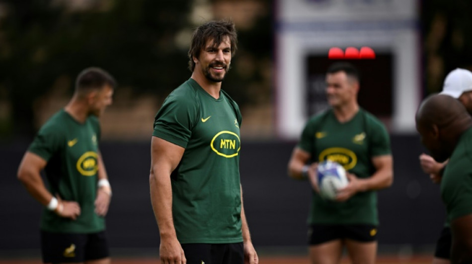 Springboks coach Nienaber 'excited' at Irish World Cup challenge 