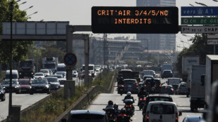 La pollution de l'air en Ile-de-France co&ucirc;te 28 milliards d'euros par an, selon Airparif