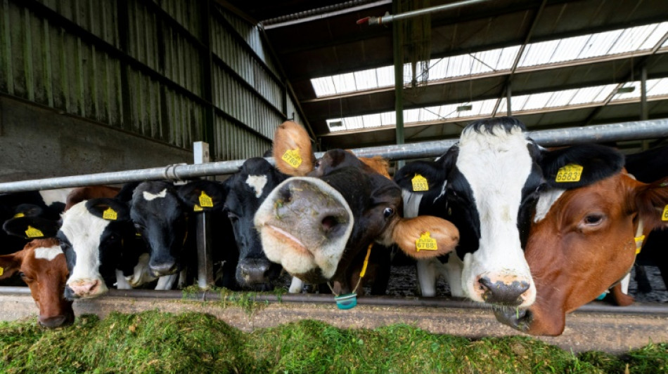 Urteil: Niederlande m&uuml;ssen Stickstoffemissionen verringern