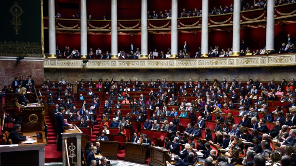 Ing&eacute;rences &eacute;trang&egrave;res: l'Assembl&eacute;e s'empare d'un texte &eacute;lectrique en pleine campagne europ&eacute;enne