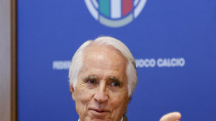 Federcalcio: Malag&ograve; pronto ad annunciare il quorum in Serie A