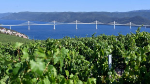La Croatie a inauguré un pont crucial vers Dubrovnik, en contournant la Bosnie