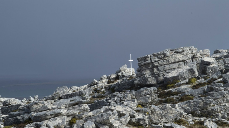 Argentina impulsa una denuncia penal contra la israel&iacute; Navitas por operar en Malvinas