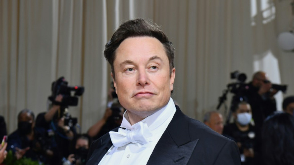 Elon Musk pr&ecirc;t &agrave; r&eacute;int&eacute;grer Donald Trump sur Twitter 