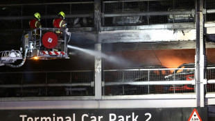 Gro&szlig;brand am Londoner Flughafen Luton: Alle Fl&uuml;ge abgesagt