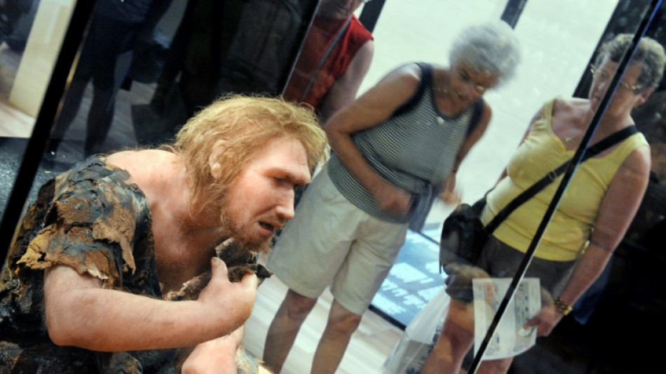 Néandertal et Homme moderne ont co-existé en Europe sur plus de 2.000 ans