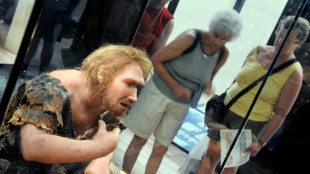 Néandertal et Homme moderne ont co-existé en Europe sur plus de 2.000 ans