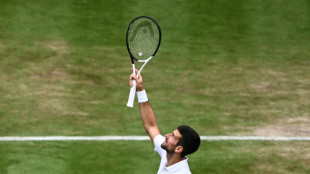 Djokovic into 12th Wimbledon semi-final, as Ukraine's Svitolina shines