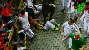 Spain's San Fermin bull runs wrap up with 35 injured