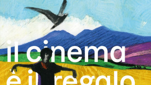 Magma compie 25 anni, al festival dei corti 23 film da 18 Paesi