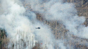 Weiterhin Wald- und Fl&auml;chenbr&auml;nde: Zug nahe D&uuml;sseldorf mit 150 Reisenden evakuiert