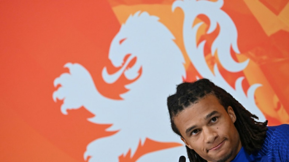 Argentina's quiet man Alvarez can hurt Dutch, says Ake