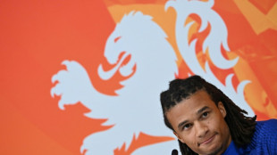 Argentina's quiet man Alvarez can hurt Dutch, says Ake