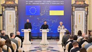 EU-Parlamentsvize Barley d&auml;mpft Hoffnungen auf schnellen Beitritt der Ukraine