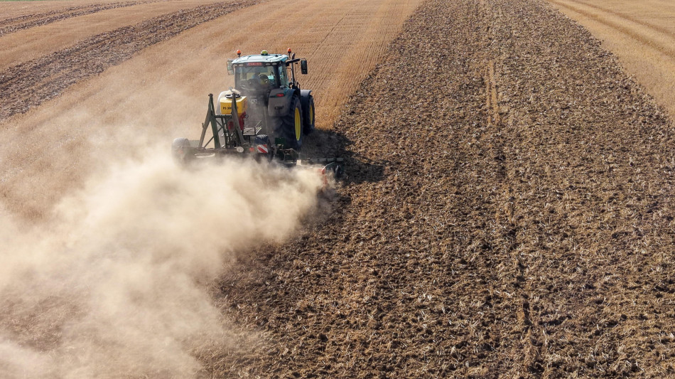 Meno parenti pi&ugrave; innovazione, l'agricoltura non &egrave; pi&ugrave; familiare