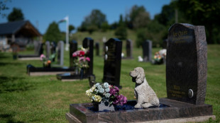 La inflaci&oacute;n plantea dilemas a los brit&aacute;nicos amantes de las mascotas
